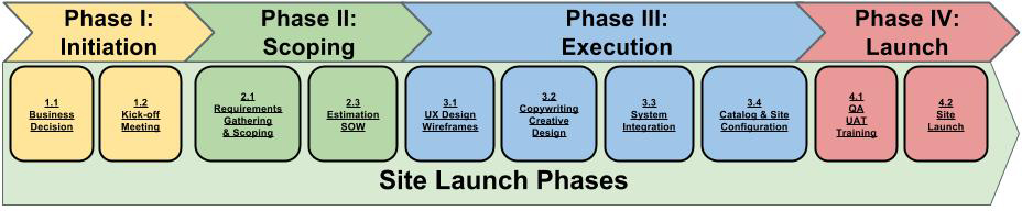 site launch process 
